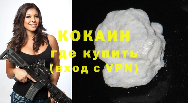 индика Баксан