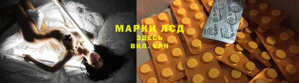 индика Баксан