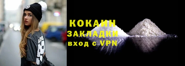индика Баксан