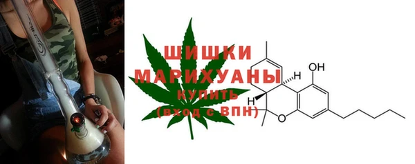 ПСИЛОЦИБИНОВЫЕ ГРИБЫ Белоозёрский