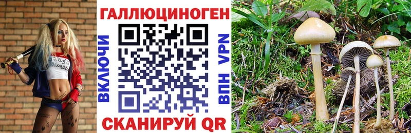 Псилоцибиновые грибы Psilocybe  Котельниково 